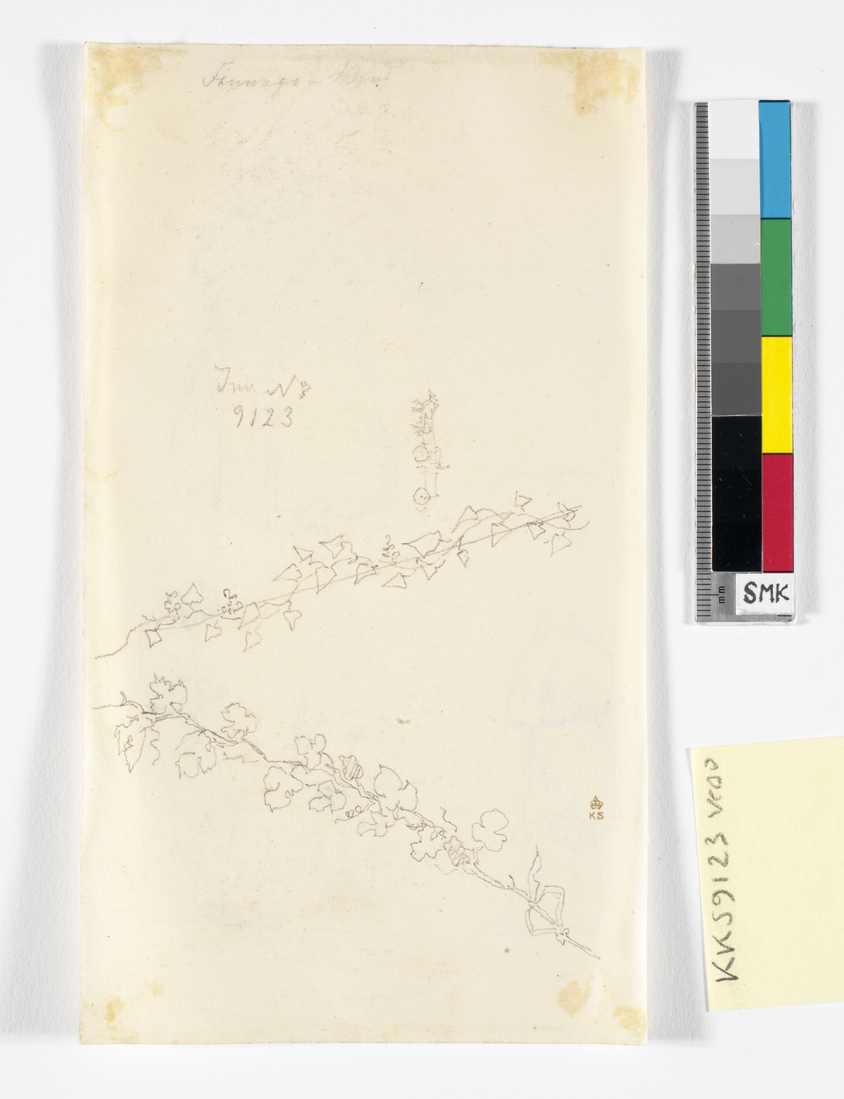 Plantestudier, samt et lille rids af en hestevogn